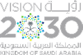 Saudi Vision 2030